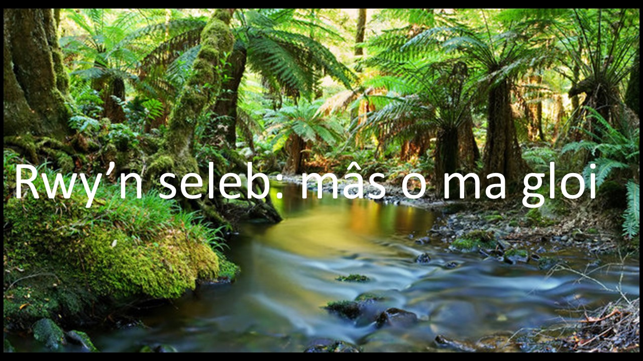 Cliciwch yma i weld y gwasanaeth
